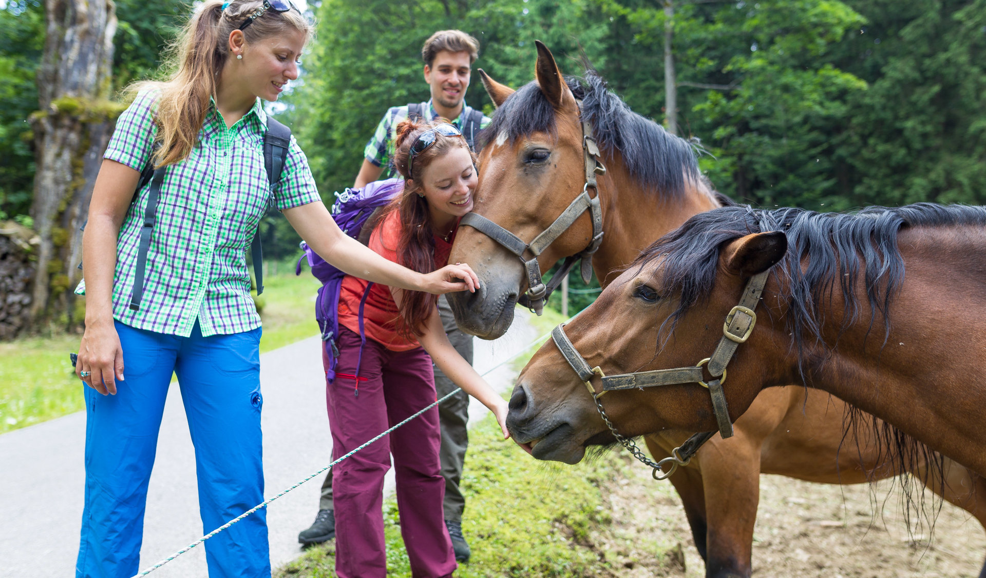 Familie beim Pferde streicheln am Wegesrand des Wanderweges zum Kaitersberg